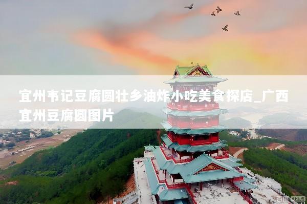 宜州韦记豆腐圆壮乡油炸小吃美食探店_广西宜州豆腐圆图片