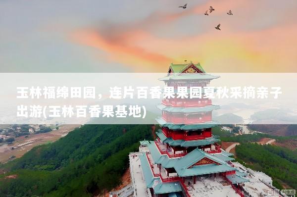 玉林福绵田园，连片百香果果园夏秋采摘亲子出游(玉林百香果基地)
