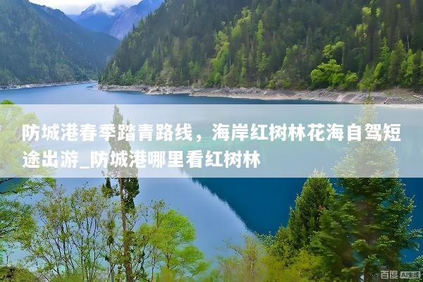 防城港春季踏青路线，海岸红树林花海自驾短途出游_防城港哪里看红树林