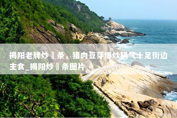 揭阳老牌炒粿条，猪肉豆芽爆炒锅气十足街边主食_揭阳炒粿条图片