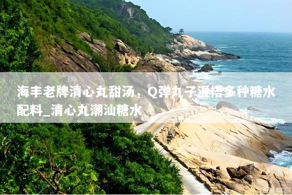 海丰老牌清心丸甜汤，Q弹丸子混搭多种糖水配料_清心丸潮汕糖水