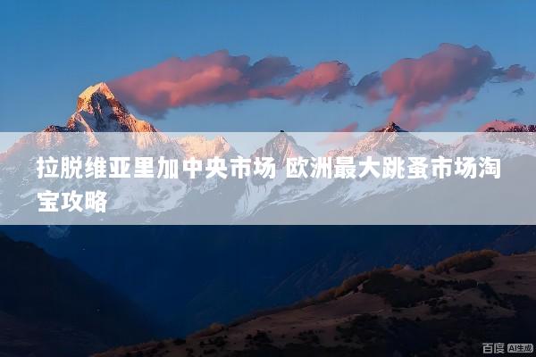 拉脱维亚里加中央市场 欧洲最大跳蚤市场淘宝攻略