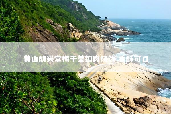 黄山胡兴堂梅干菜扣肉烧饼 香酥可口