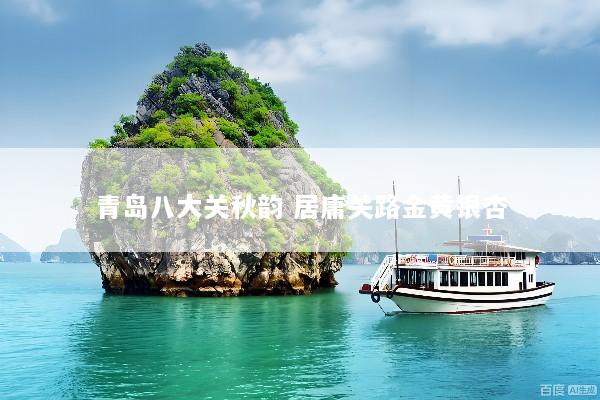 青岛八大关秋韵 居庸关路金黄银杏