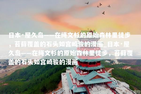 日本·屋久岛——在绳文杉的原始森林里徒步，苔藓覆盖的石头如宫崎骏的漫画_日本·屋久岛——在绳文杉的原始森林里徒步，苔藓覆盖的石头如宫崎骏的漫画