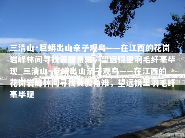 三清山·巨蟒出山亲子观鸟——在江西的花岗岩峰林间寻找黄腹角雉，望远镜里羽毛纤毫毕现_三清山·巨蟒出山亲子观鸟——在江西的花岗岩峰林间寻找黄腹角雉，望远镜里羽毛纤毫毕现