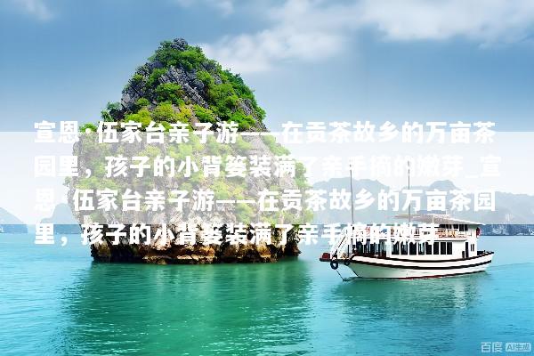 宣恩·伍家台亲子游——在贡茶故乡的万亩茶园里，孩子的小背篓装满了亲手摘的嫩芽_宣恩·伍家台亲子游——在贡茶故乡的万亩茶园里，孩子的小背篓装满了亲手摘的嫩芽