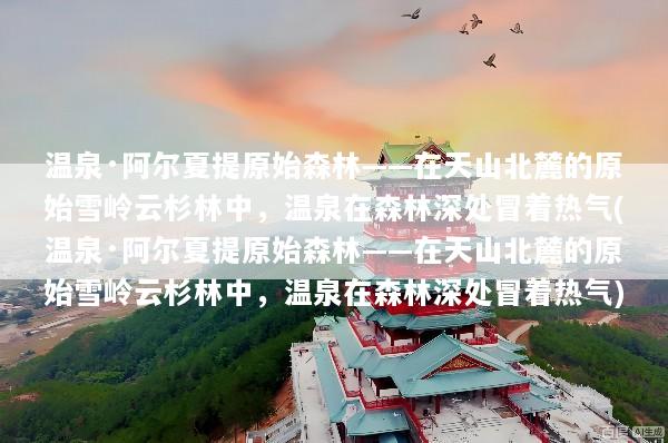 温泉·阿尔夏提原始森林——在天山北麓的原始雪岭云杉林中，温泉在森林深处冒着热气(温泉·阿尔夏提原始森林——在天山北麓的原始雪岭云杉林中，温泉在森林深处冒着热气)