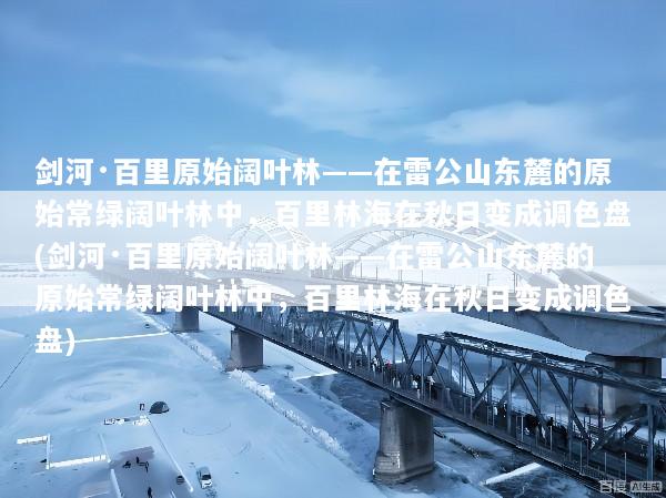 剑河·百里原始阔叶林——在雷公山东麓的原始常绿阔叶林中，百里林海在秋日变成调色盘(剑河·百里原始阔叶林——在雷公山东麓的原始常绿阔叶林中，百里林海在秋日变成调色盘)