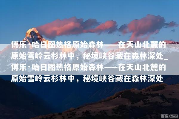 博乐·哈日图热格原始森林——在天山北麓的原始雪岭云杉林中，秘境峡谷藏在森林深处_博乐·哈日图热格原始森林——在天山北麓的原始雪岭云杉林中，秘境峡谷藏在森林深处