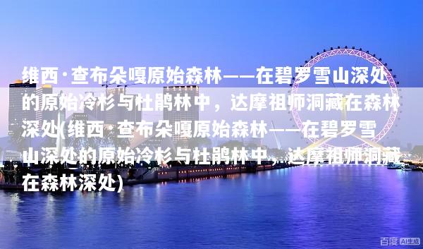 维西·查布朵嘎原始森林——在碧罗雪山深处的原始冷杉与杜鹃林中，达摩祖师洞藏在森林深处(维西·查布朵嘎原始森林——在碧罗雪山深处的原始冷杉与杜鹃林中，达摩祖师洞藏在森林深处)