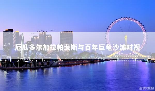 厄瓜多尔加拉帕戈斯与百年巨龟沙滩对视