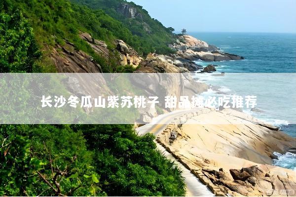 长沙冬瓜山紫苏桃子 甜品摊必吃推荐