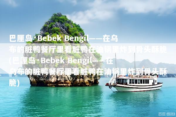巴厘岛·Bebek Bengil——在乌布的脏鸭餐厅里看脏鸭在油锅里炸到骨头酥脆(巴厘岛·Bebek Bengil——在乌布的脏鸭餐厅里看脏鸭在油锅里炸到骨头酥脆)