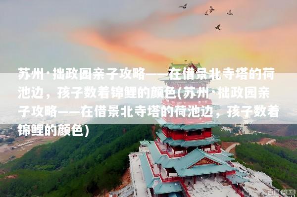 文章配图